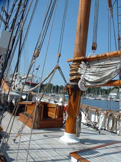 Segelschiff auf der Hanse Sail