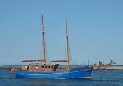 Eines der zahlreichen Segler der Hansesail, die von Warnemnde bis nach Rostock reicht