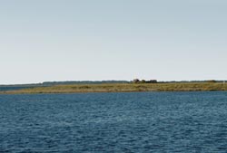 Blick auf die Vogelinsel Langenwerder